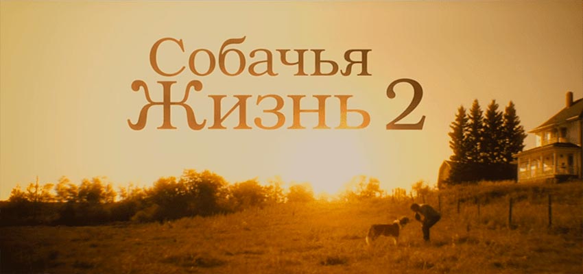 Собачья жизнь 2