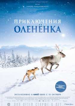 Приключения олененка