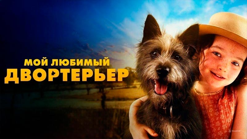 Мой любимый двортерьер