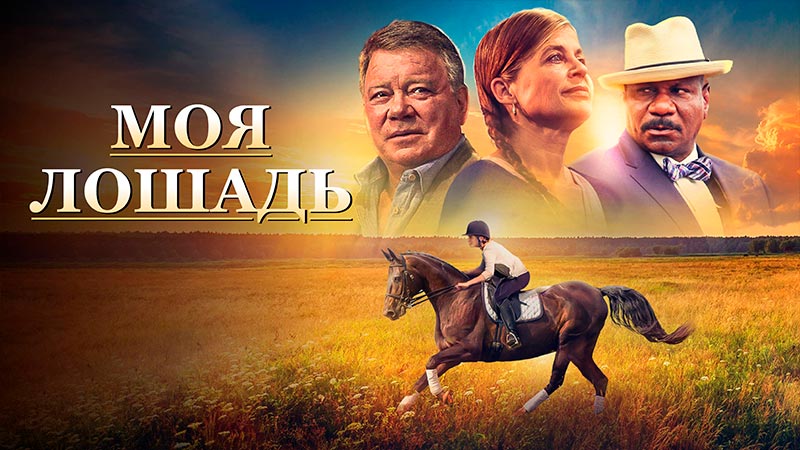 Моя лошадь
