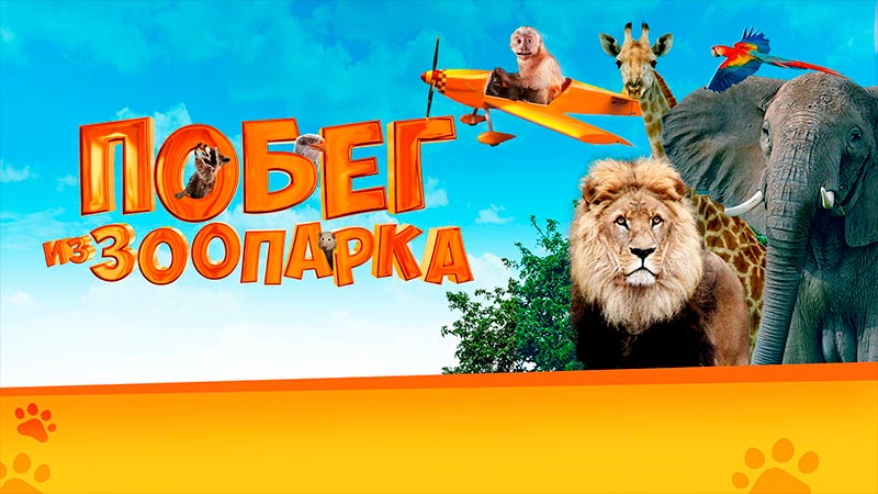 Побег из зоопарка