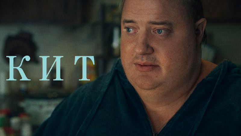 Кит