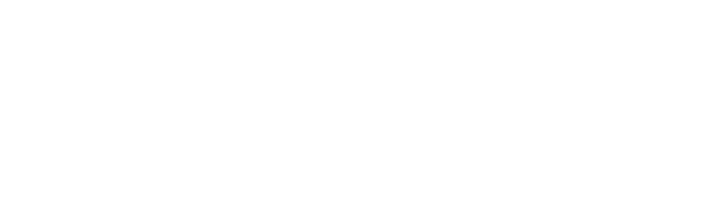 Великолепная поездка