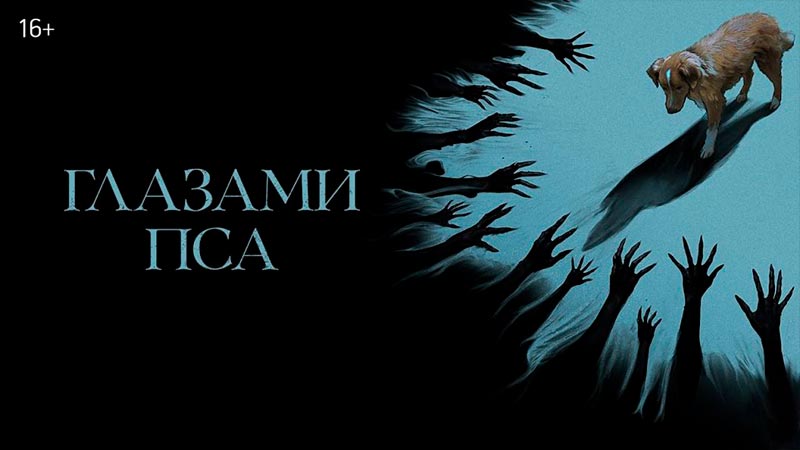 Глазами пса