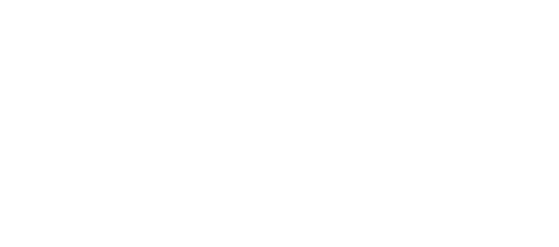 Большое смелое красивое путешествие