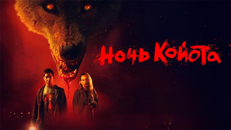 Ночь койота