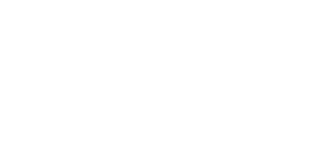 Вождь эльфов