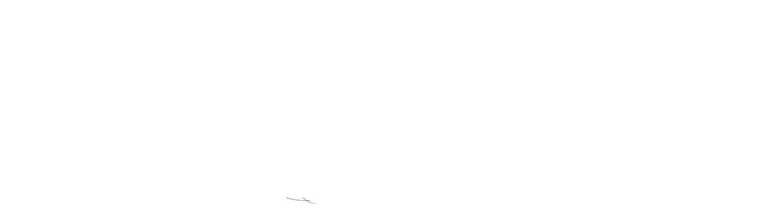 Божественная. Сара Бернар