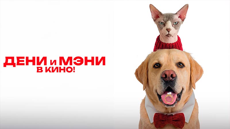 Дени и Мэни в кино!