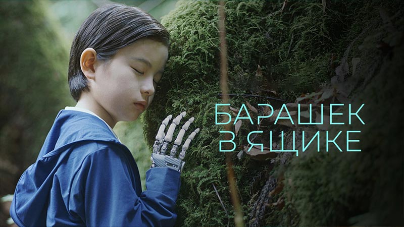 Барашек в ящике
