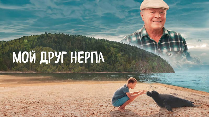 Мой друг нерпа