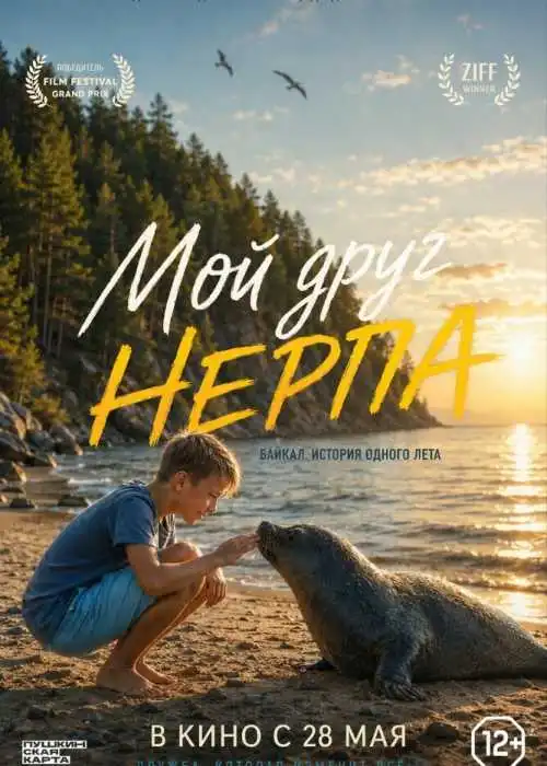 Мой друг нерпа